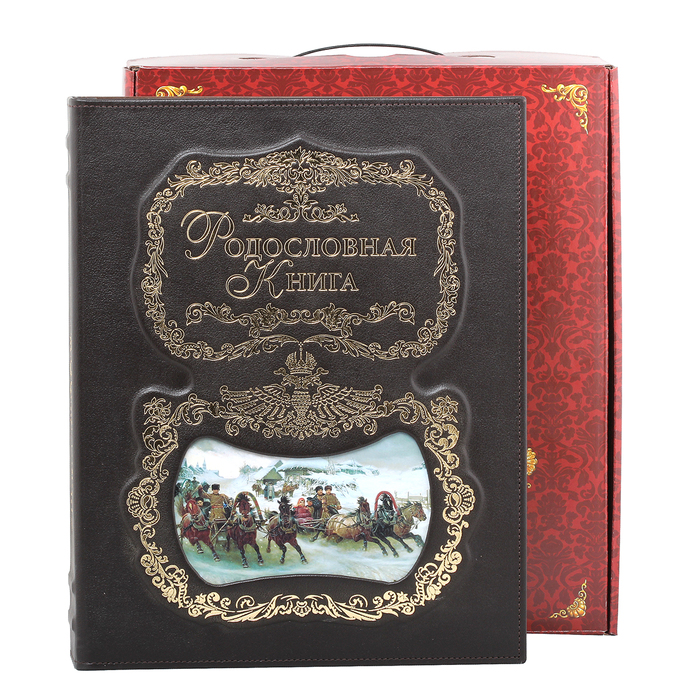 Родословная книга "Тройка" с картинкой в картонной коробке